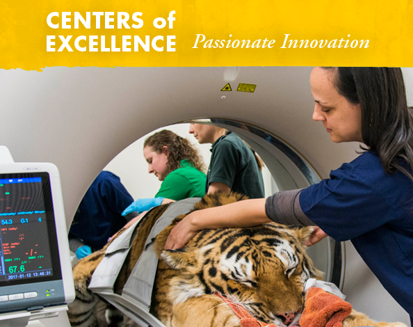Centers of Excellence -  
Passionate Innovation