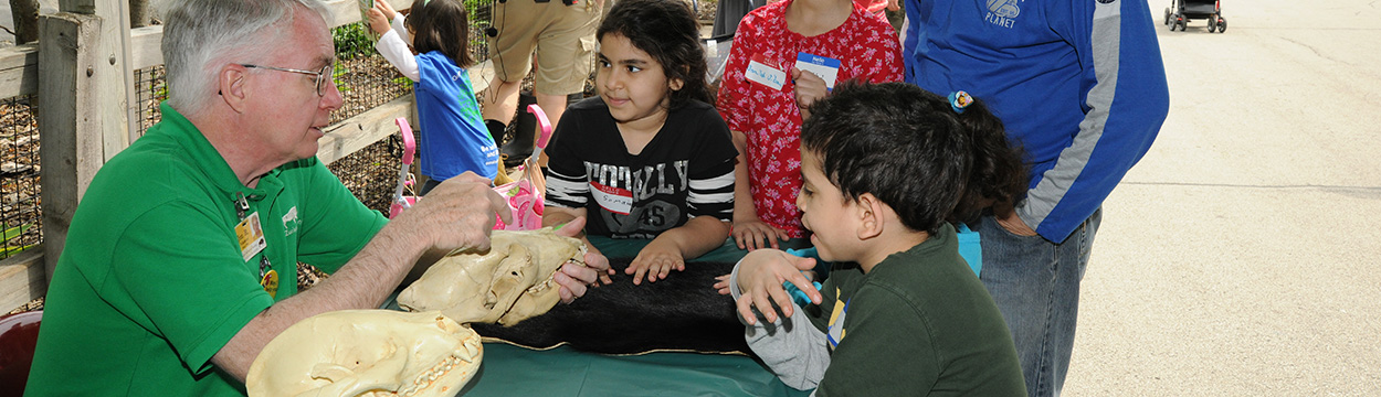 Volunteer at Brookfield Zoo