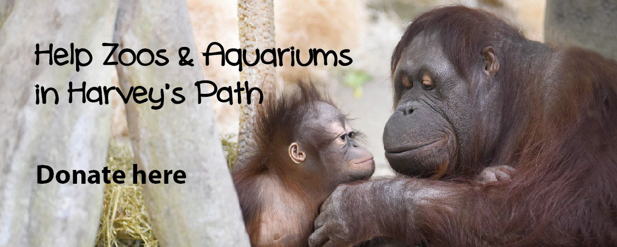 Donate to the Conservation Fund