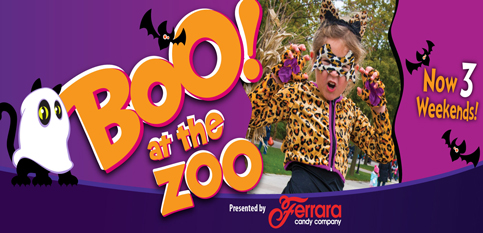 chicago zoological society brookfield zoo home