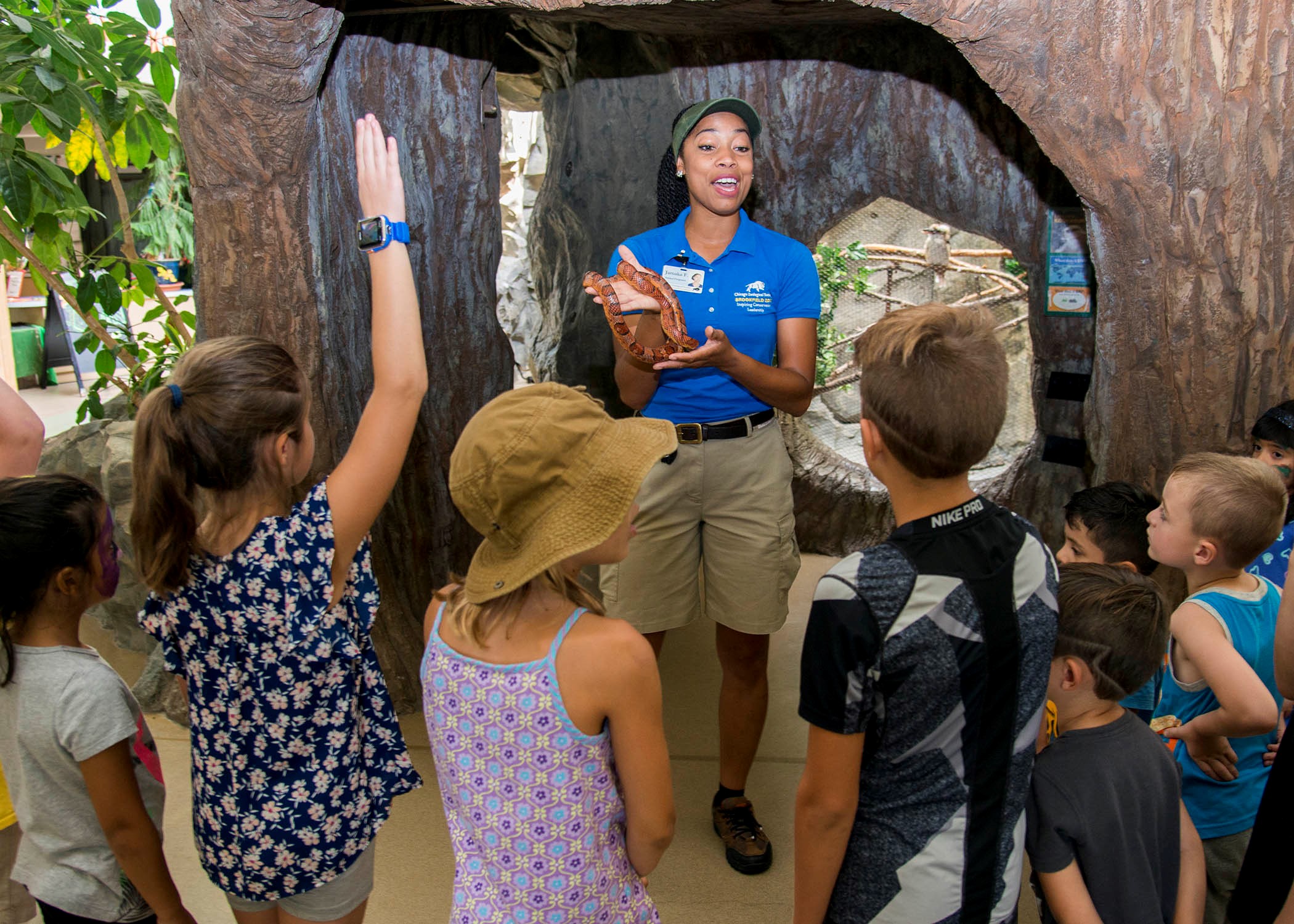 brookfield zoo school field trips