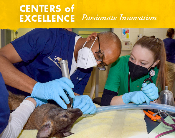 Centers of Excellence -  Passionate Innovation