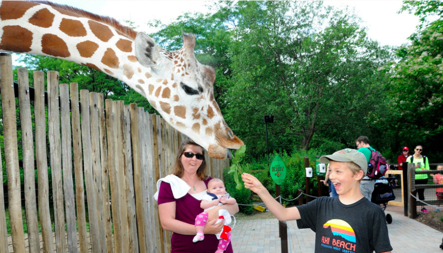 Chicago Zoological Society Brookfield Zoo & The Chicago Zoological