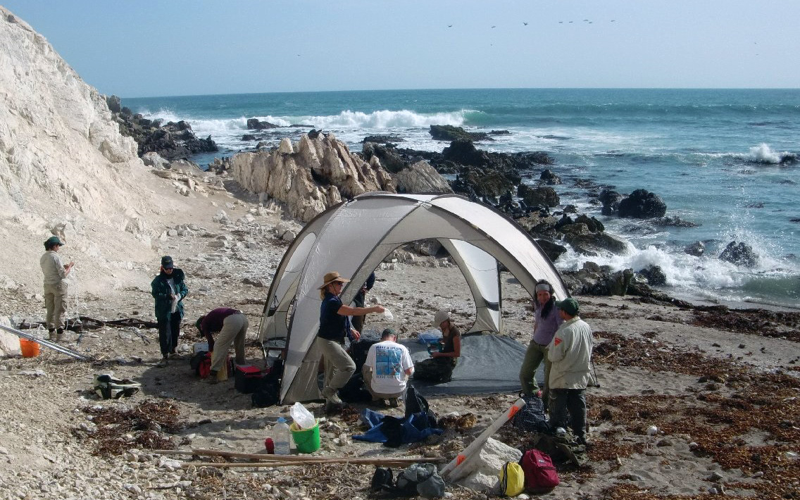 Punta San Juan Reserve in Peru