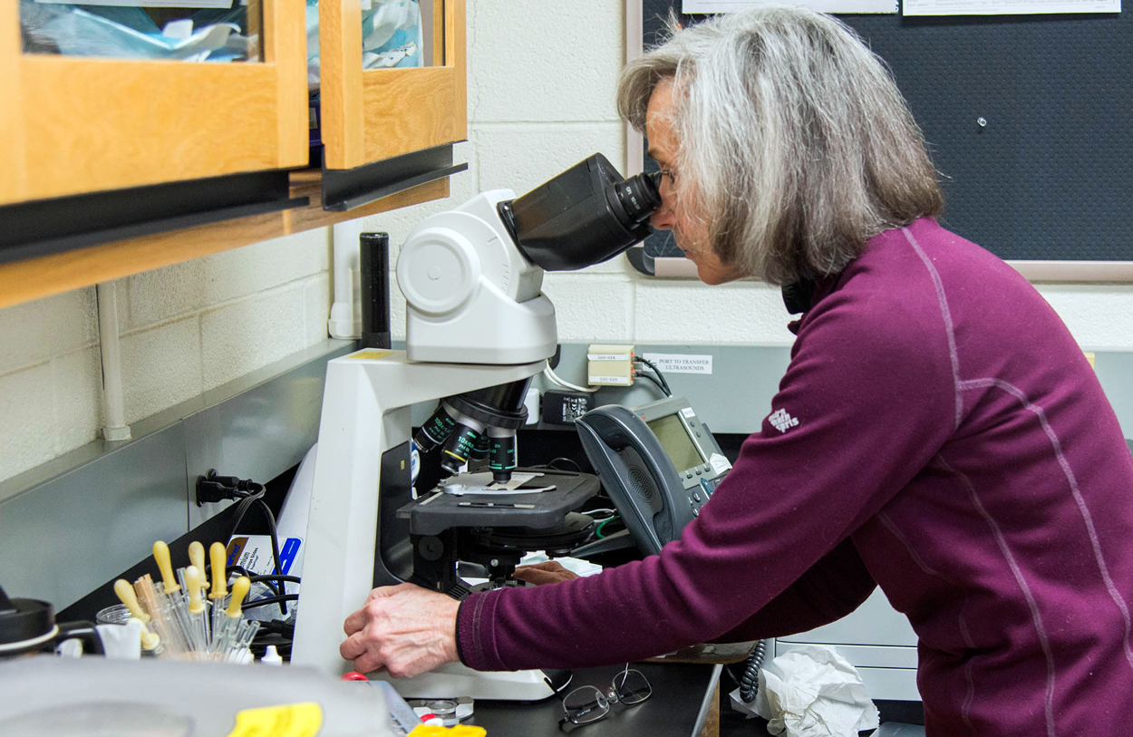 Cheryl Asa, Ph.D., associate scientist and former director of research at Saint Louis Zoo