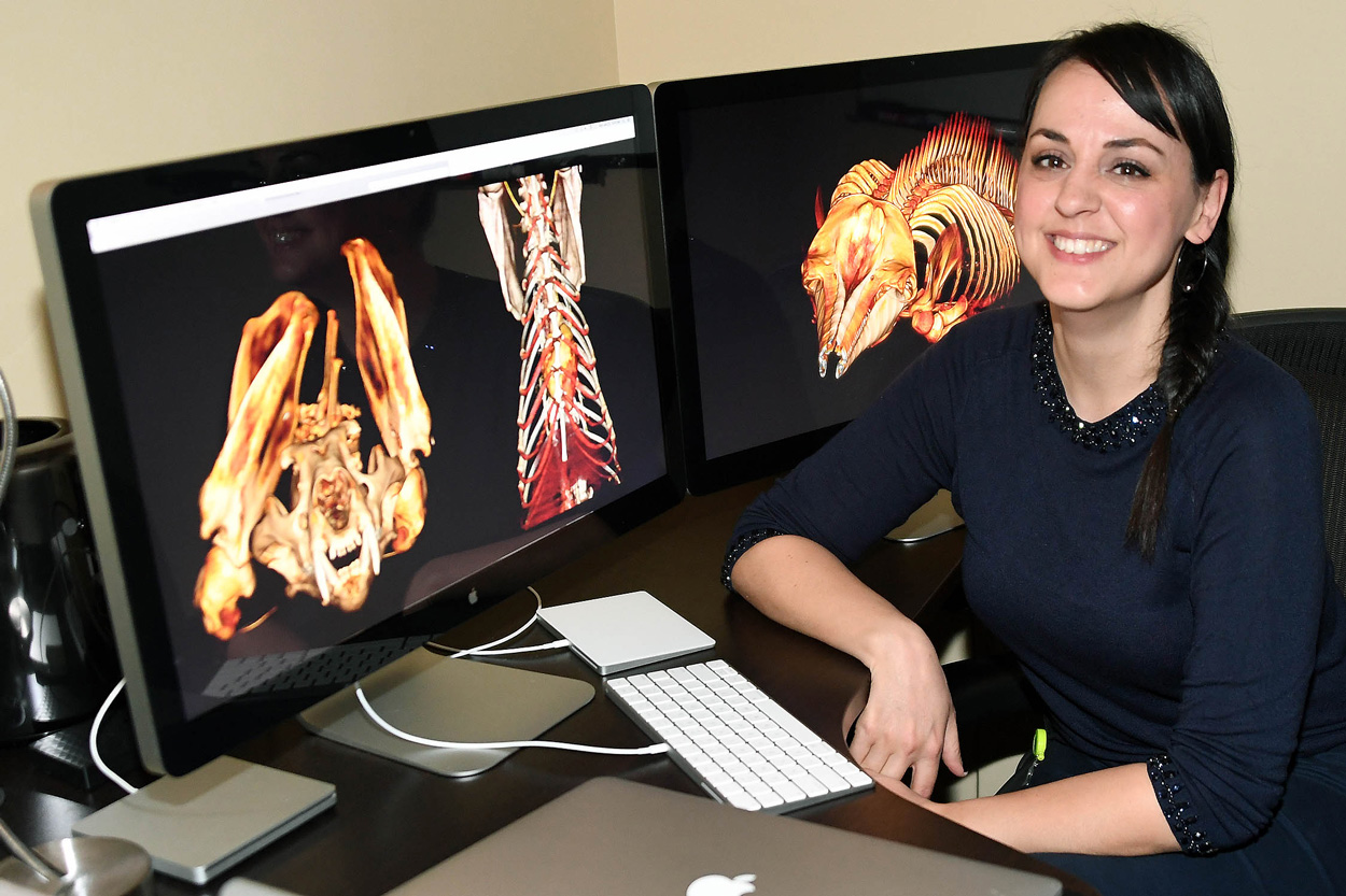 Dr. Marina Ivančić
