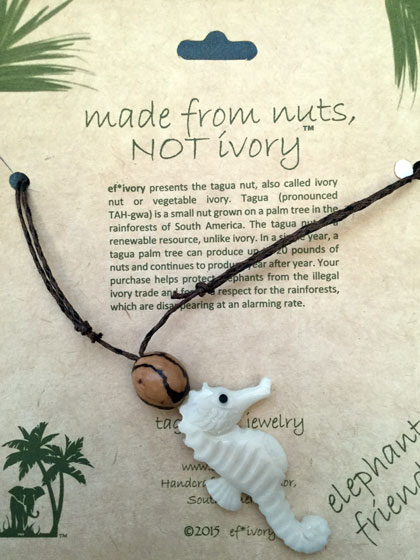 ef-ivory at Brookfield Zoo