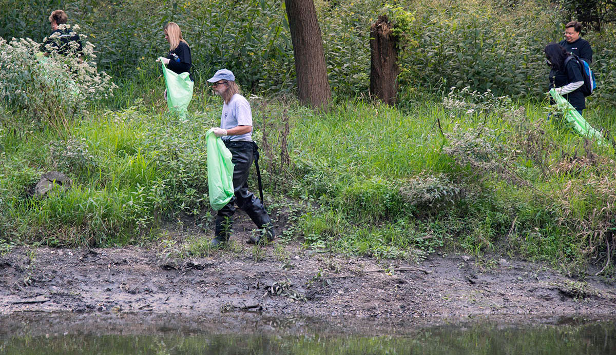 Wetland clean up