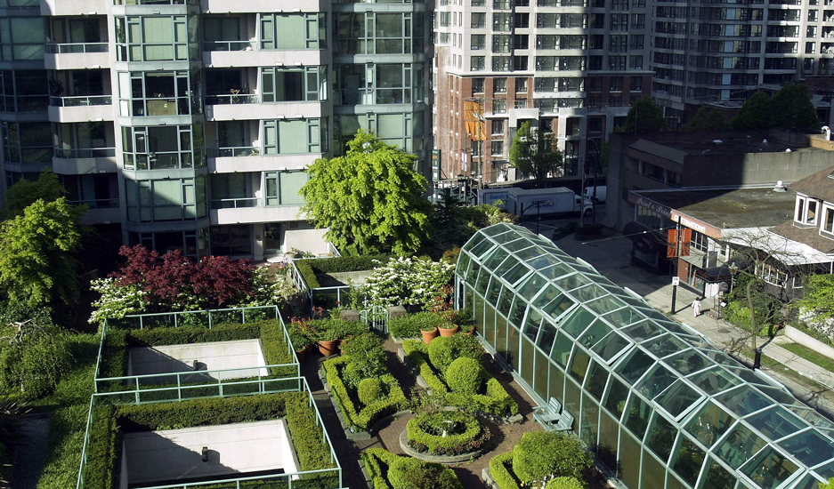 Rooftop Garden