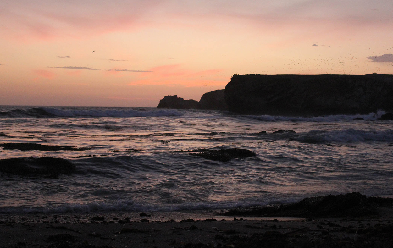 Punta San Juan reserve in Peru