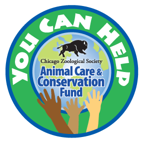 Chicago Zoological Society - Animal Care & Conservation Fund Chicago Zoological Society - Animal Care & Conservation Fund