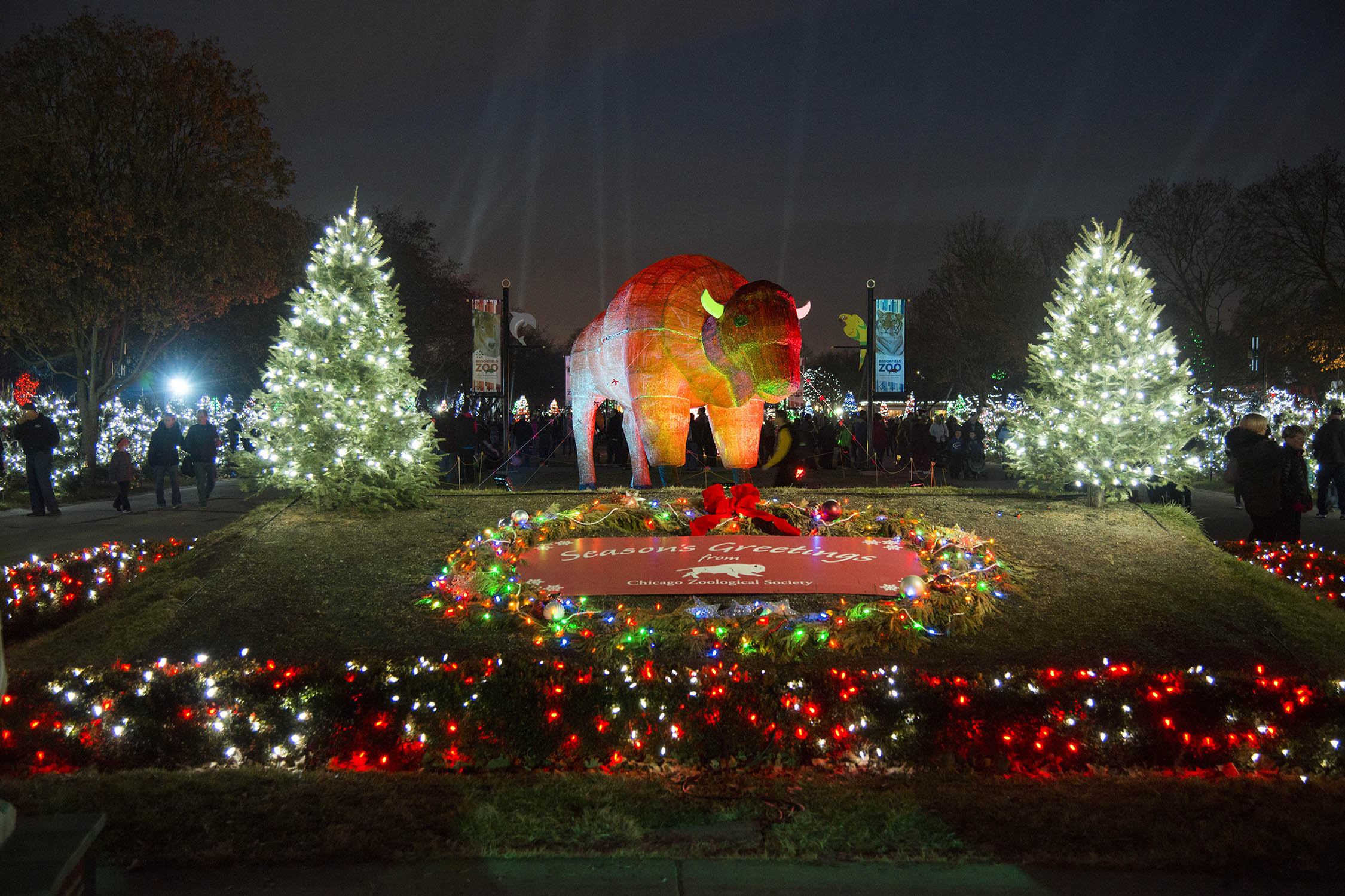 Brookfield Zoo Christmas Lights 2019 Chicago Zoological Society Holiday Magic Festivities Light up Brookfield Zoo Christmas Lights 2019 Chicago Zoological Society Holiday Magic Festivities Light up