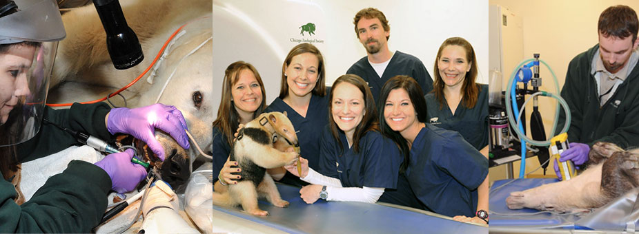 National Vet Tech Week