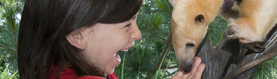 Animal Ambassador Program