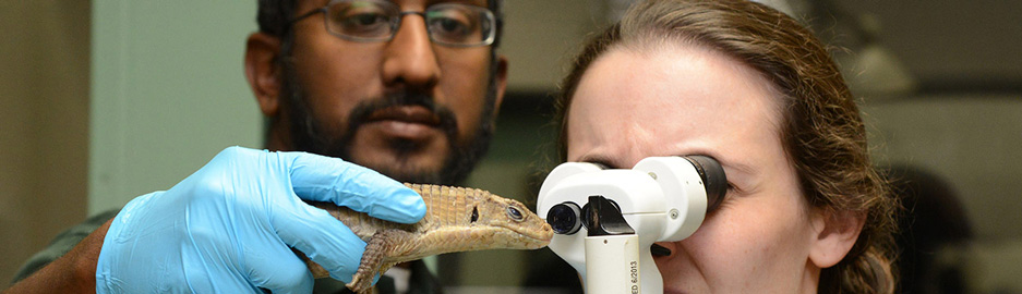 Veterinary Science