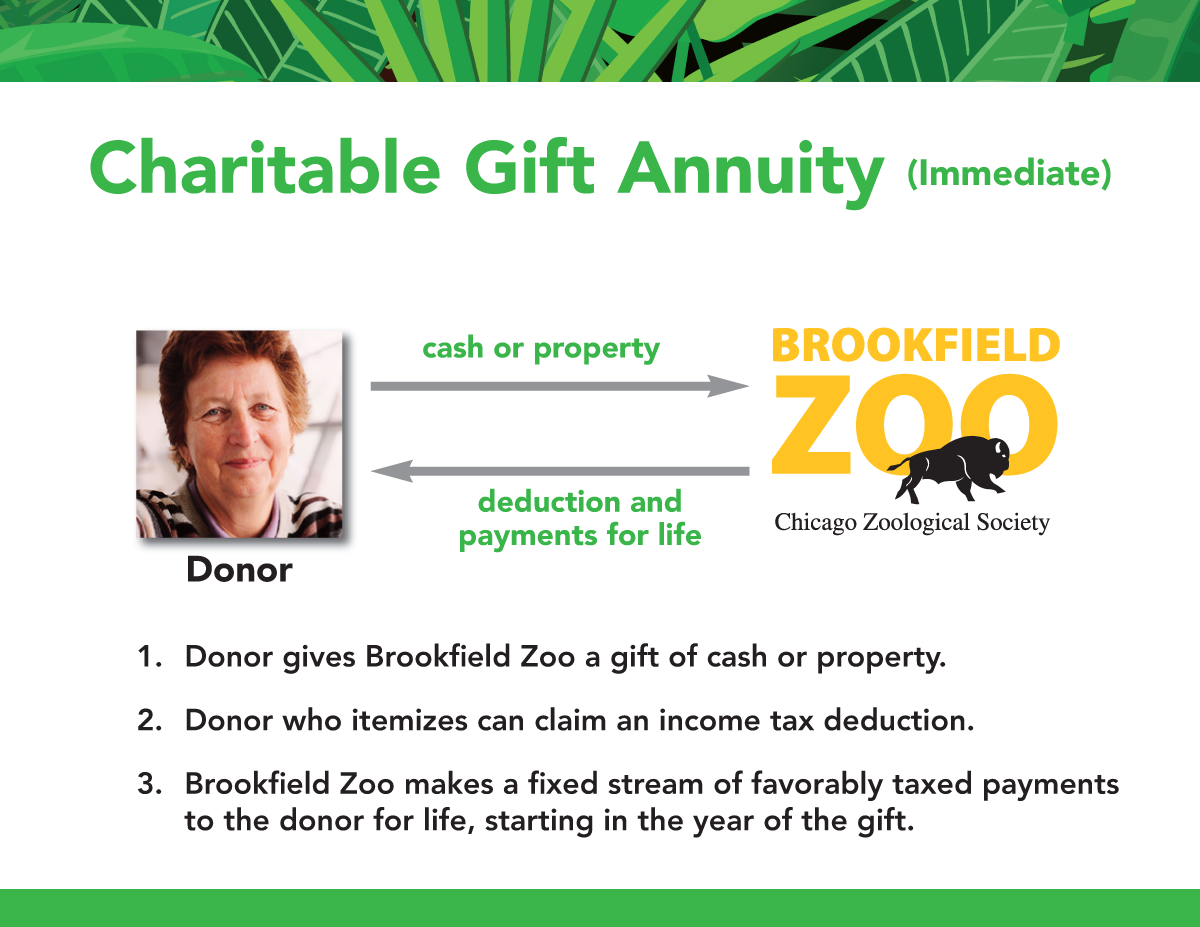 charitable-gift-annuity-immediate2-(1).png