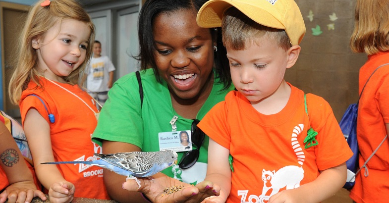 Chicago Zoological Society Zoo Camp Brookfield Zoo