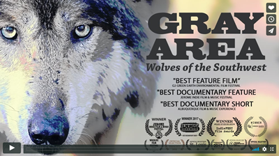 Gray Area - Wolves of the Southwest