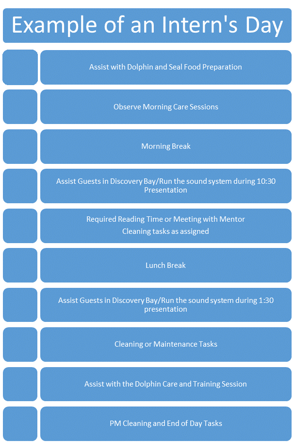 Example-of-Daily-Activities-of-a-Marine-Mammal-Care-Intern-Updated-June-2019-(2).PNG