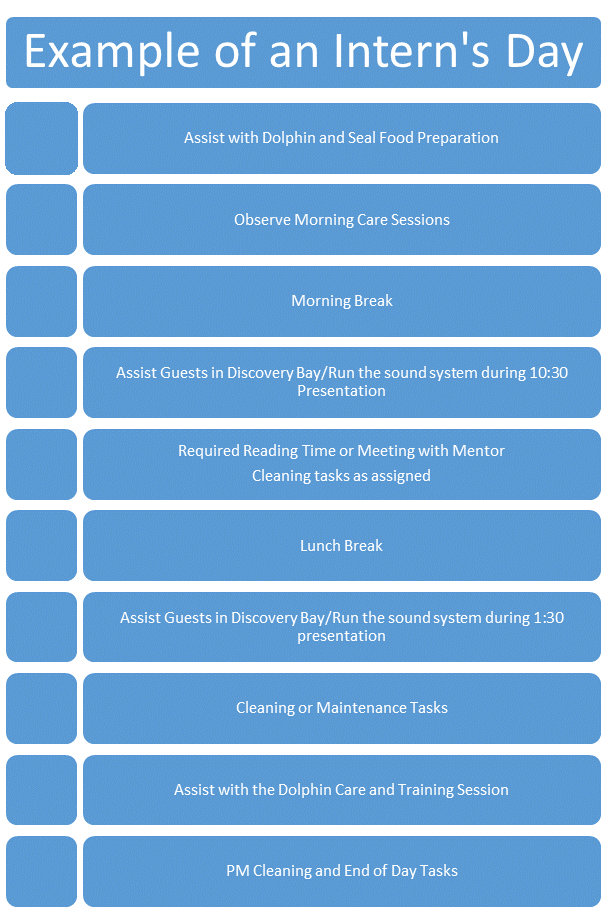 Example-of-Daily-Activities-of-a-Marine-Mammal-Care-Intern-Updated-June-2019-(2).PNG Example-of-Daily-Activities-of-a-Marine-Mammal-Care-Intern-Updated-June-2019-(2).PNG