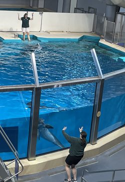Marine Mammal Internship