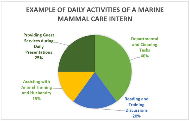 Example-of-Daily-Activities-of-a-Marine-Mammal-Care-Intern.PNG