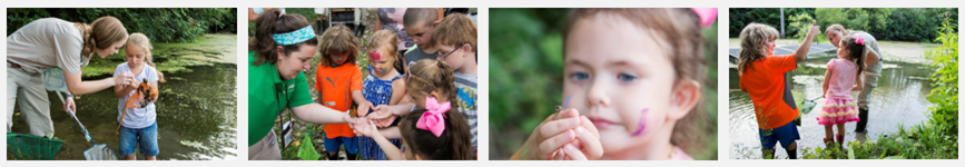 Seedlings-Image-Banner-(2).PNG Seedlings-Image-Banner-(2).PNG